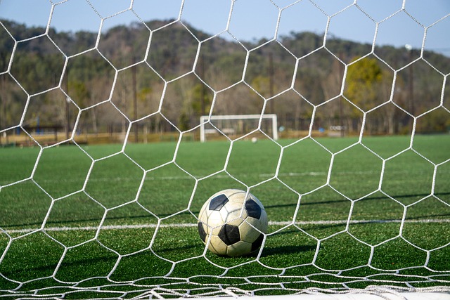 迪班薩與潛 迪班薩與潛