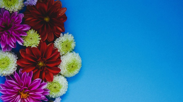 拉格不仅是 拉格不仅是