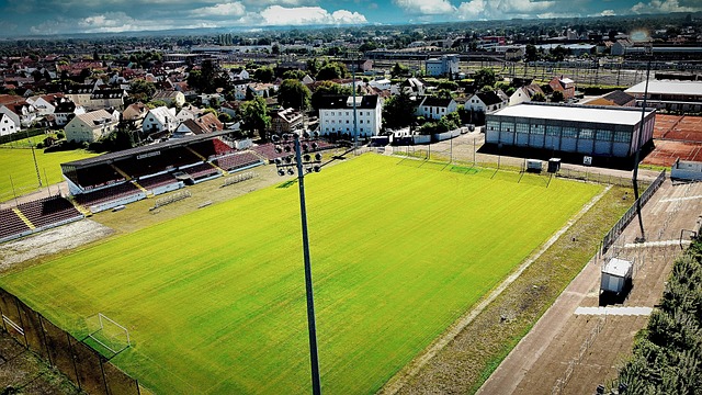 训练理念 训练理念