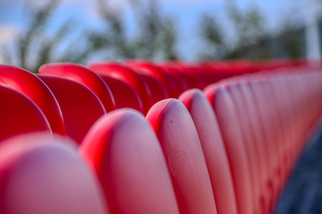 一顺位的状 一顺位的状