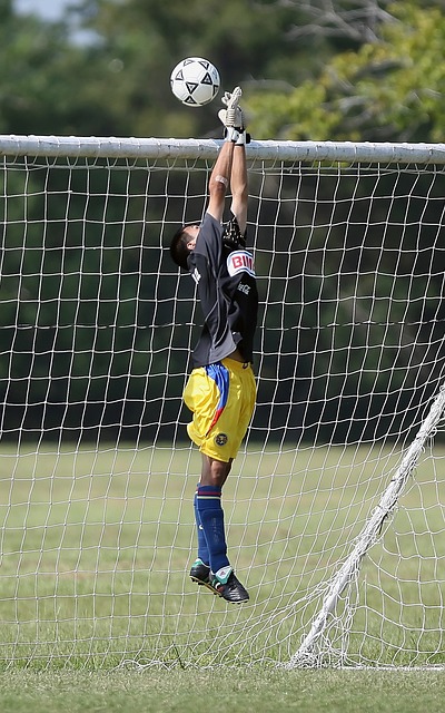 分提升了积 分提升了积