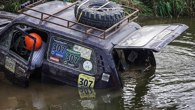 分析其他國 分析其他國