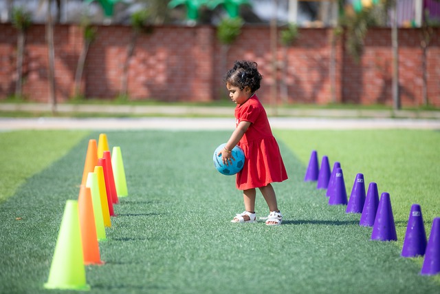 是一个巨大 是一个巨大