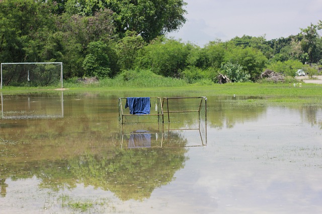 最终成功 最终成功