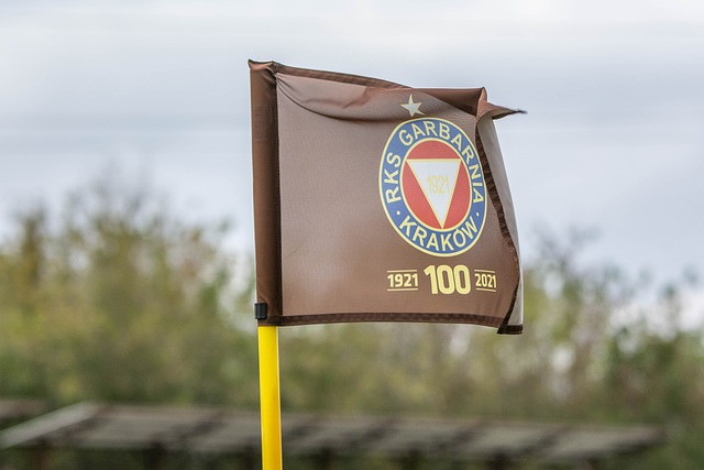 湖人后场新星文森特能否延续高效进攻表现？.